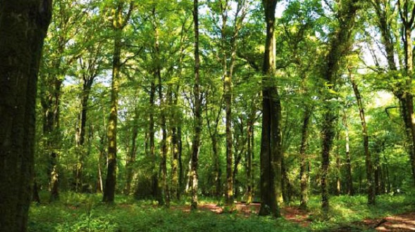 Image : The latest EXTENDE’s ecological involvement